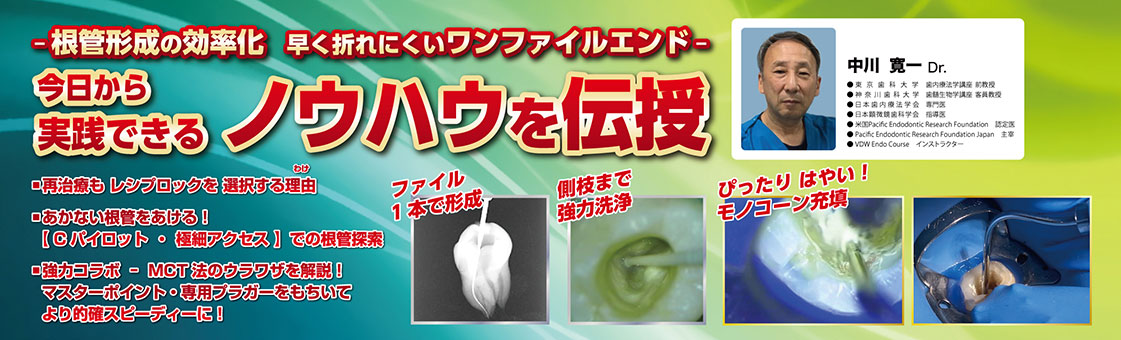 一根管形成の効率化　早く折れにくいワンファイルエンド一 今日から実践できる ノウハウを伝授